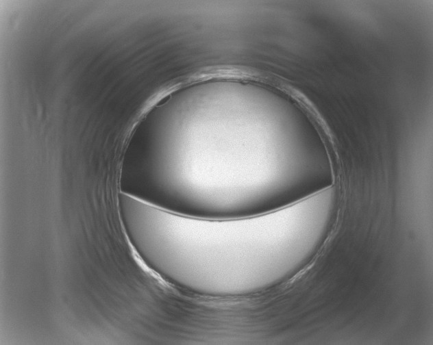 X0000080671433200612150750