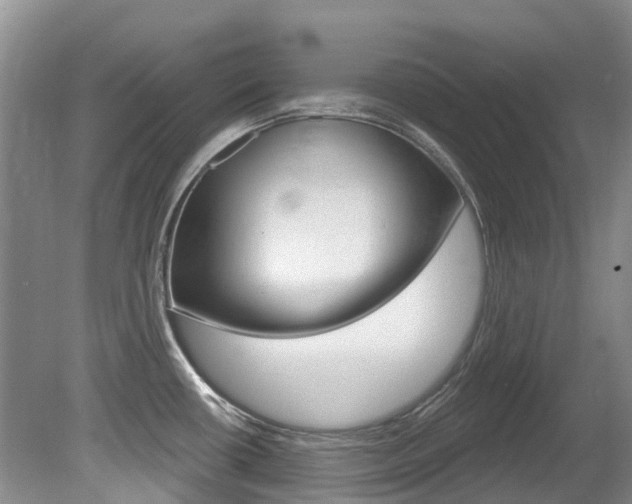 X0000080671434200612150750