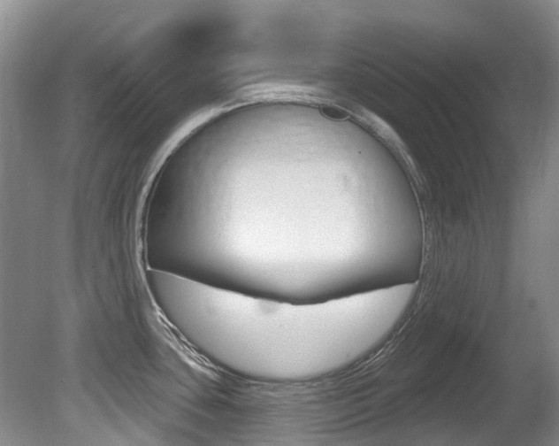 X0000080671435200612150750