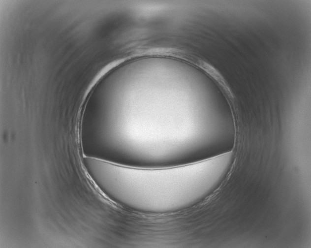 X0000080671436200612150750