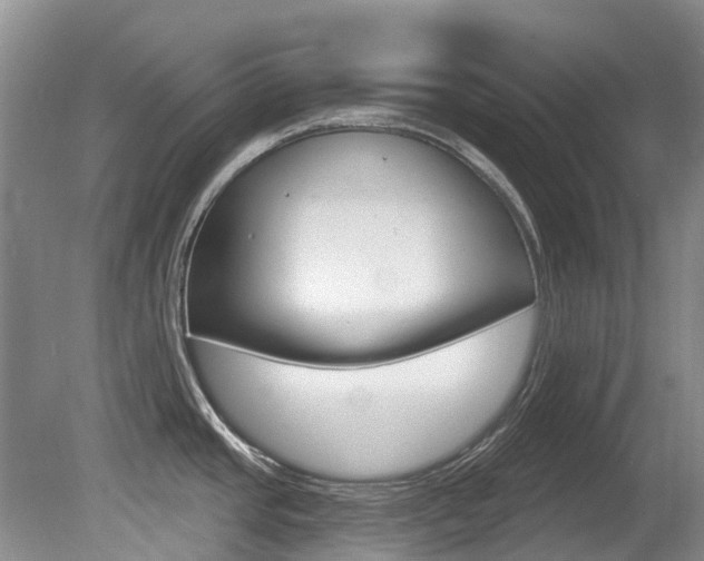 X0000080671437200612150750