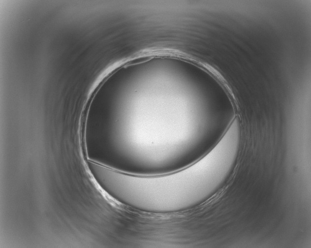 X0000080671438200612150750