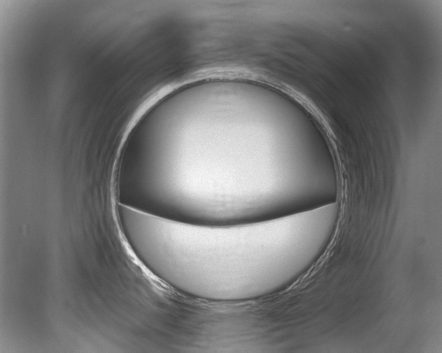 X0000080671440200612150750