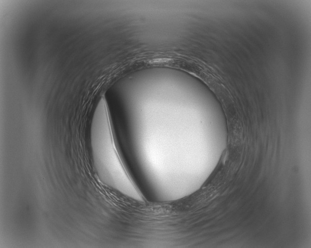 X0000080671441200612150749