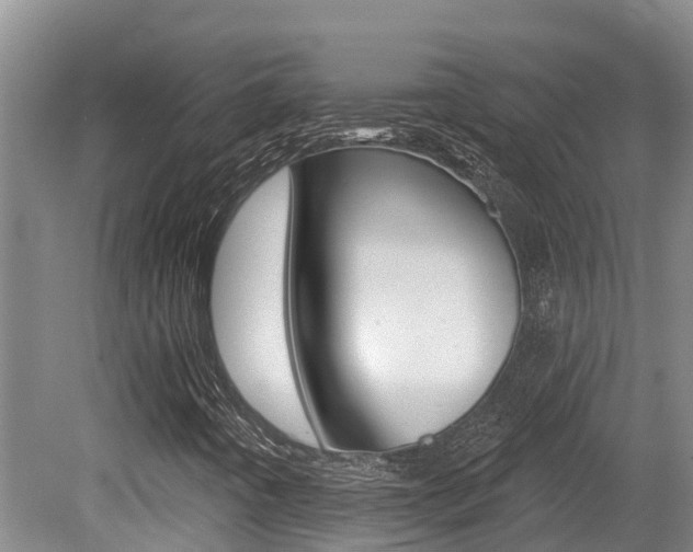X0000080671442200612150749