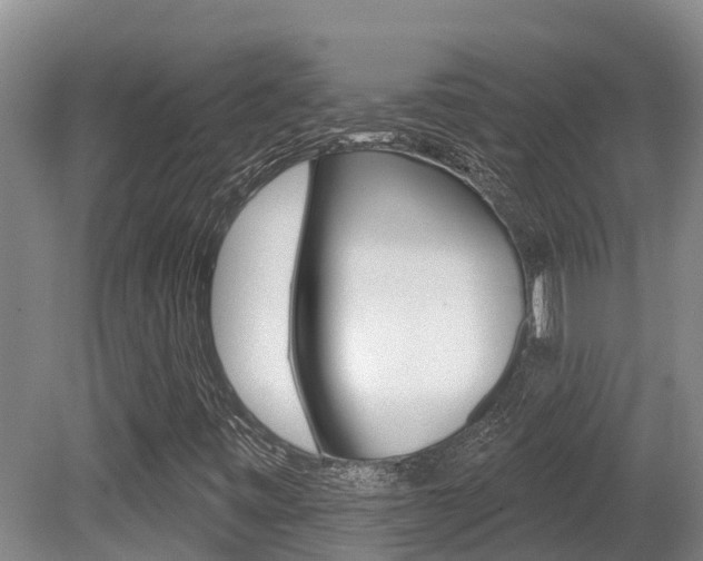 X0000080671443200612150749