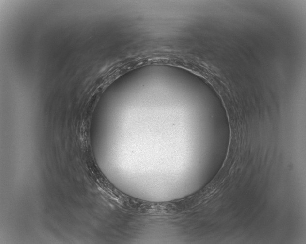 X0000080671445200612150749
