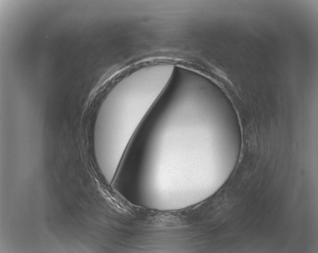X0000080671448200612150749