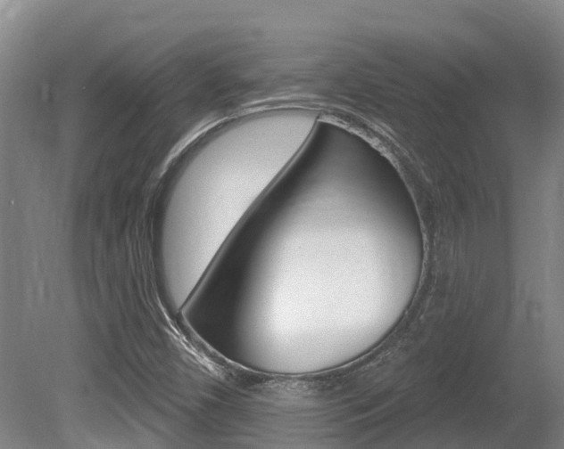 X0000080671450200612150749