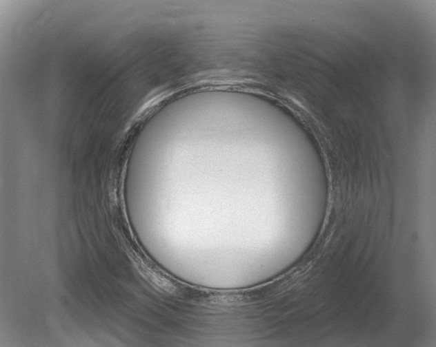 X0000080671451200612150749