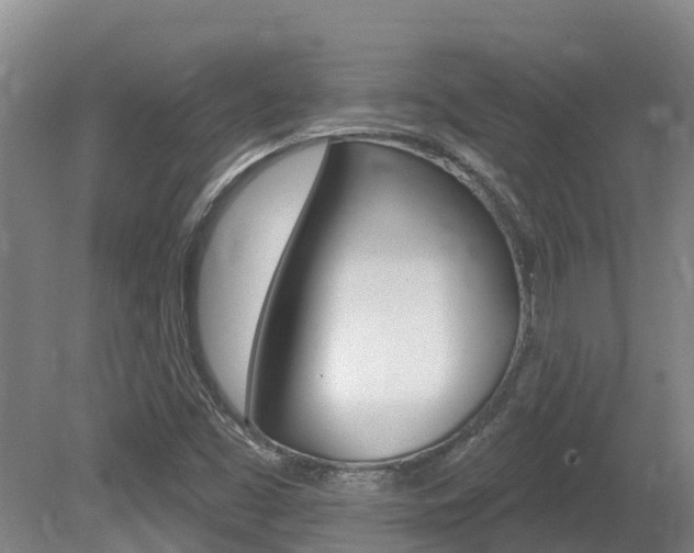 X0000080671453200612150749