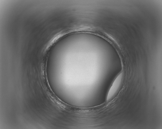 X0000080671455200612150749