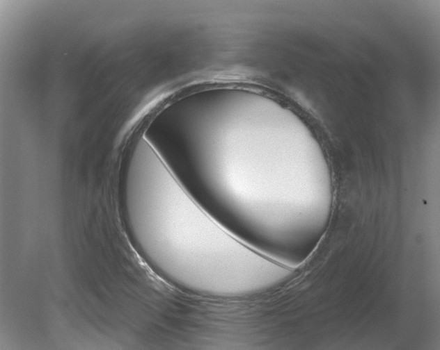 X0000080671456200612150749