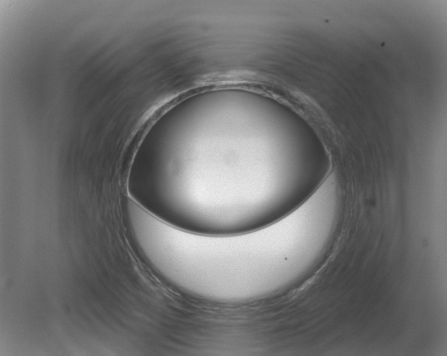 X0000080671457200612150749