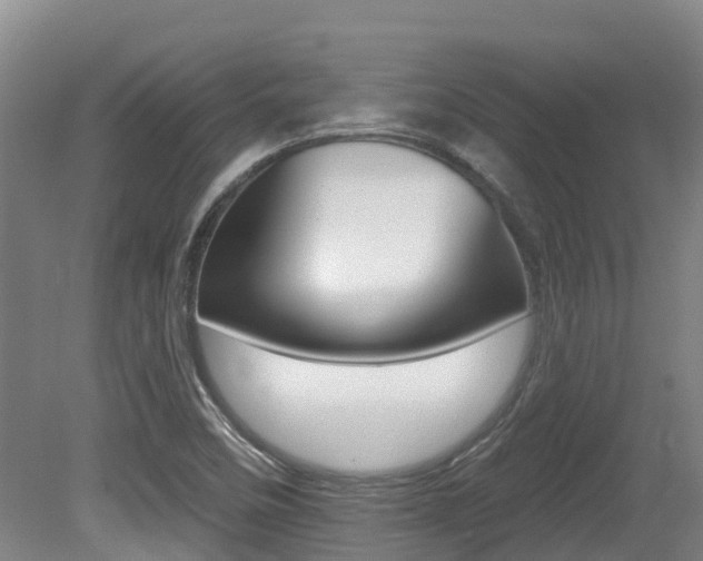X0000080671458200612150749
