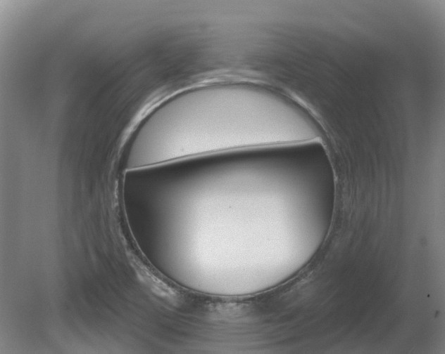 X0000080671459200612150749