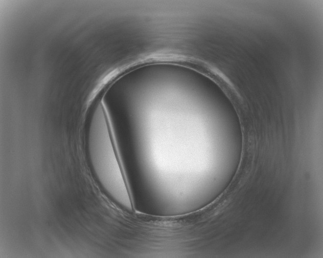 X0000080671461200612150749