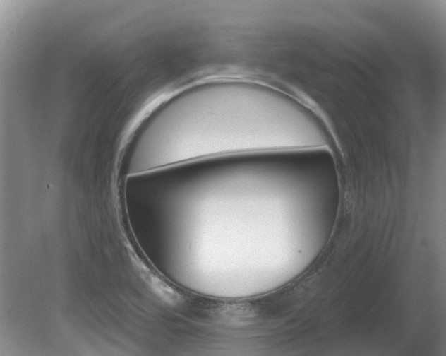 X0000080671464200612150749