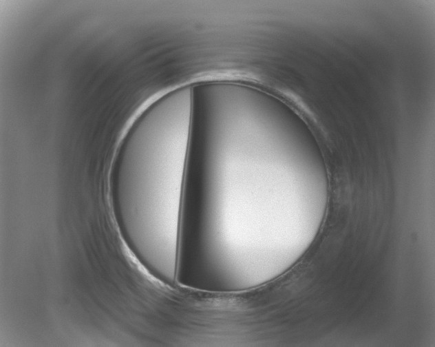 X0000080671468200612150749