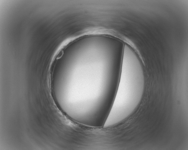 X0000080671472200612150748