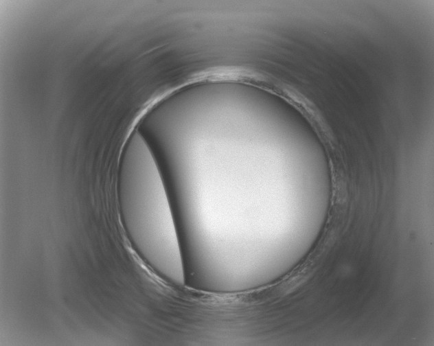 X0000080671473200612150748