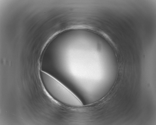 X0000080671476200612150748