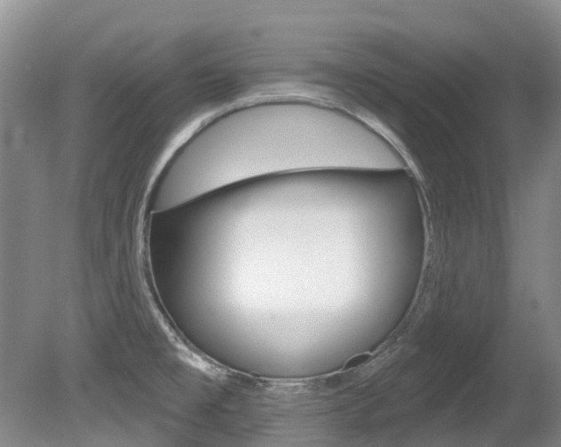X0000080671477200612150748
