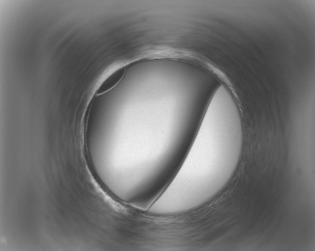X0000080671479200612150748