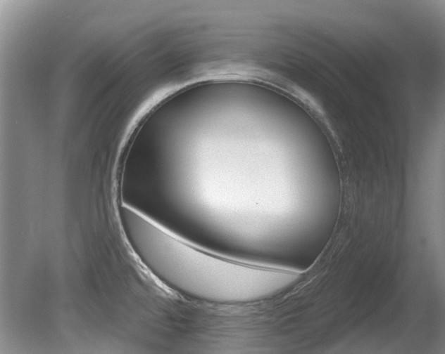 X0000080671480200612150748