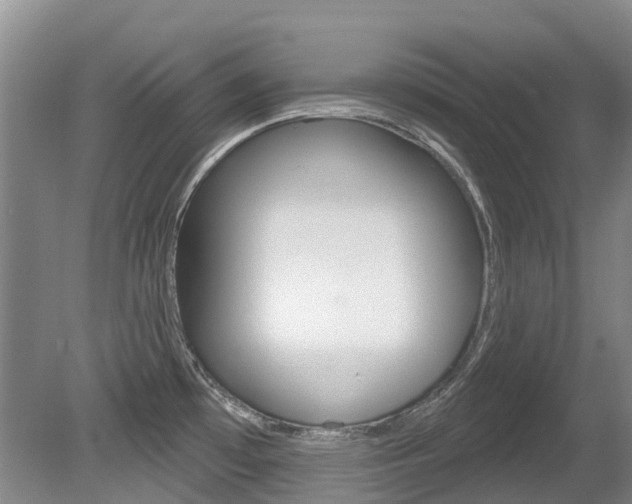 X0000080671481200612150748