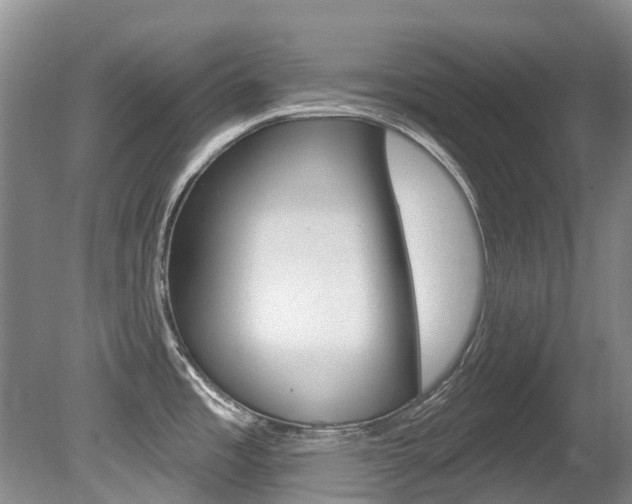 X0000080671485200612150748