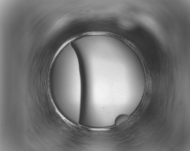 X0000080671487200612150748