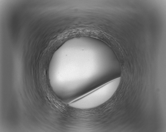 X0000080671489200612150747