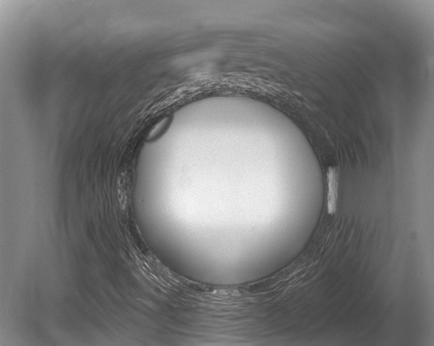 X0000080671491200612150747