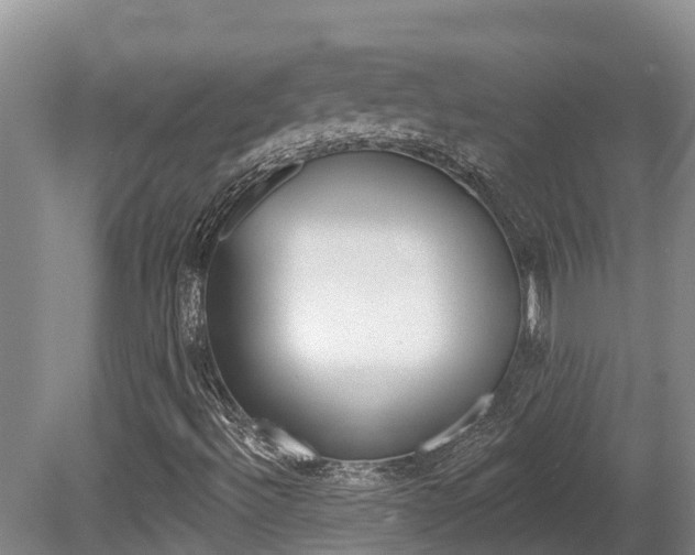 X0000080671492200612150747
