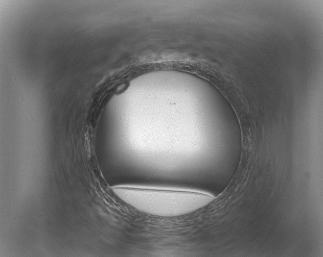 X0000080671493200612150747