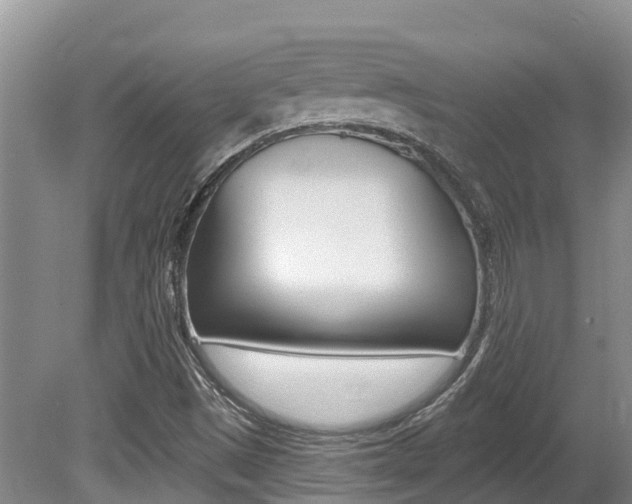 X0000080671497200612150748