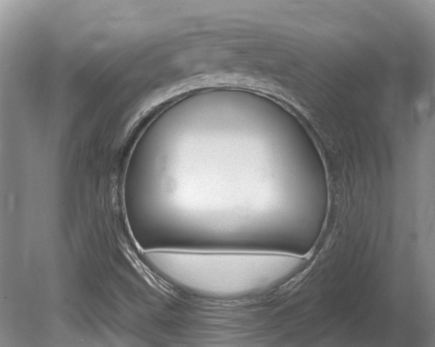 X0000080671499200612150748