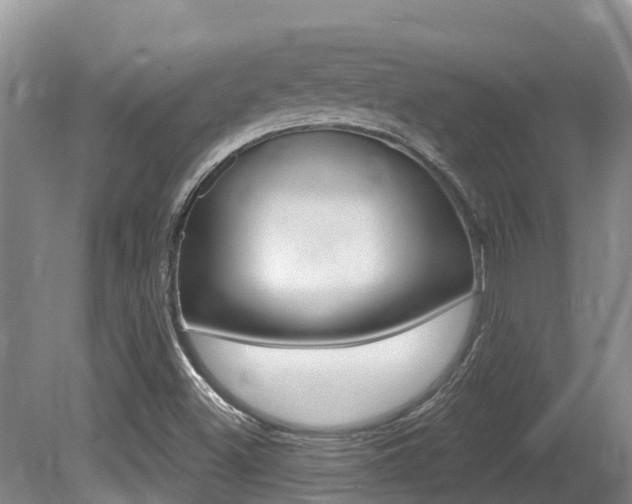 X0000080671500200612150748
