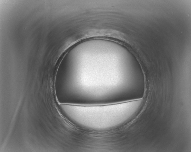X0000080671505200612150748