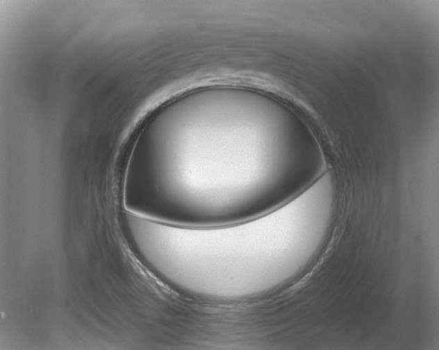 X0000080671506200612150748