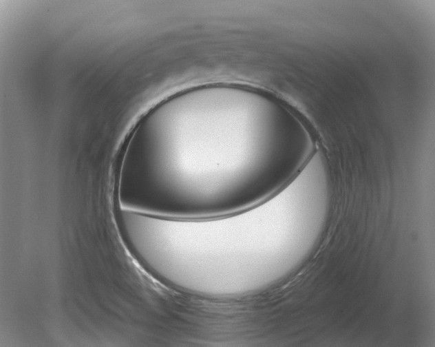X0000080671508200612150748