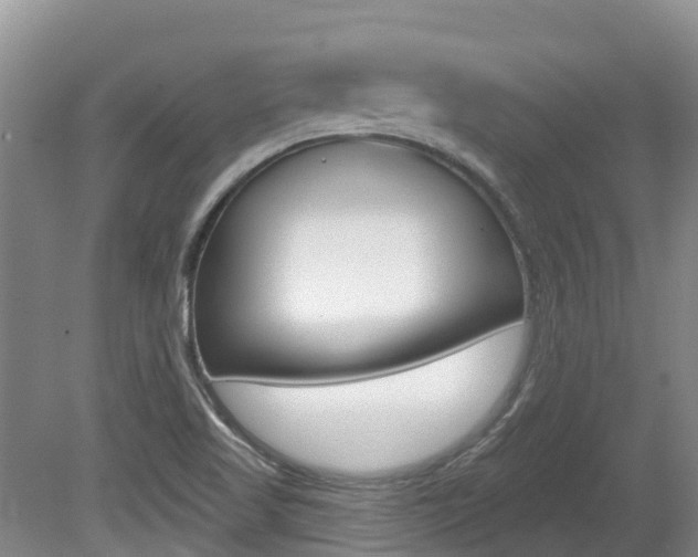 X0000080671509200612150748