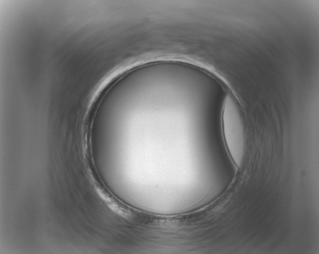 X0000080671511200612150748