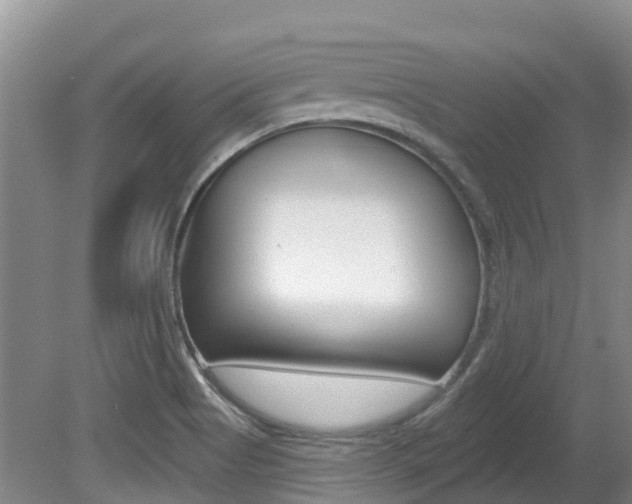 X0000080671513200612150748