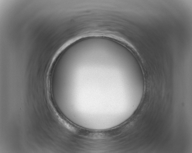 X0000080671517200612150748