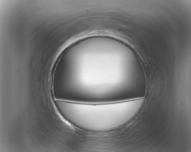 X0000080671519200612150748
