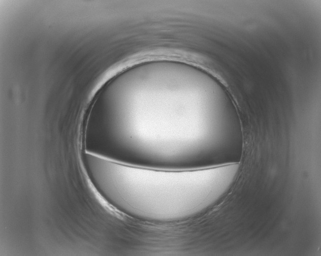 X0000080671523200612150748