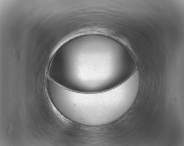 X0000080671524200612150748