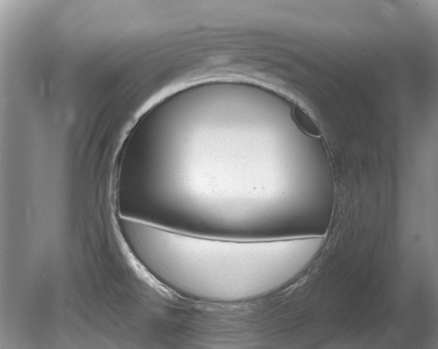 X0000080671526200612150748